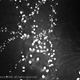 Illustration for article titled Photo Contest: Christmas Lights
